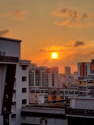 Blk 288E Bukit Batok Street 25 (Bukit Batok), HDB 4 Rooms #603221001